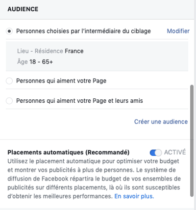 Capture d'écran de l'audience des publications sponsorisées Facebook.