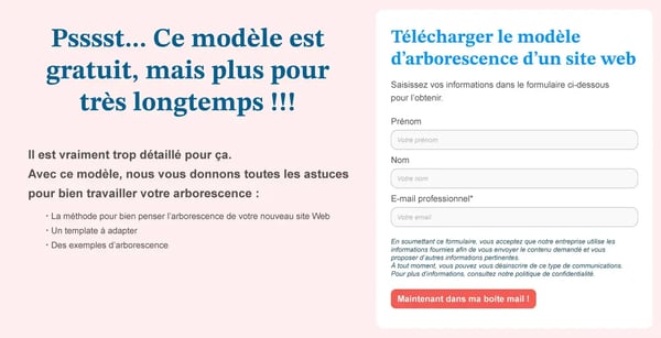 Exemple d'une landing page avec le travail de l'argumentaire