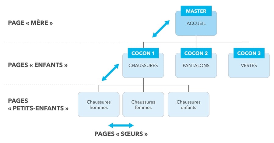 Illustration d'un cocon sémantique avec une page mère (la page d'accueil du site Web) et 3 cocons sémantiques (pages enfants) et des pages petits-enfants.